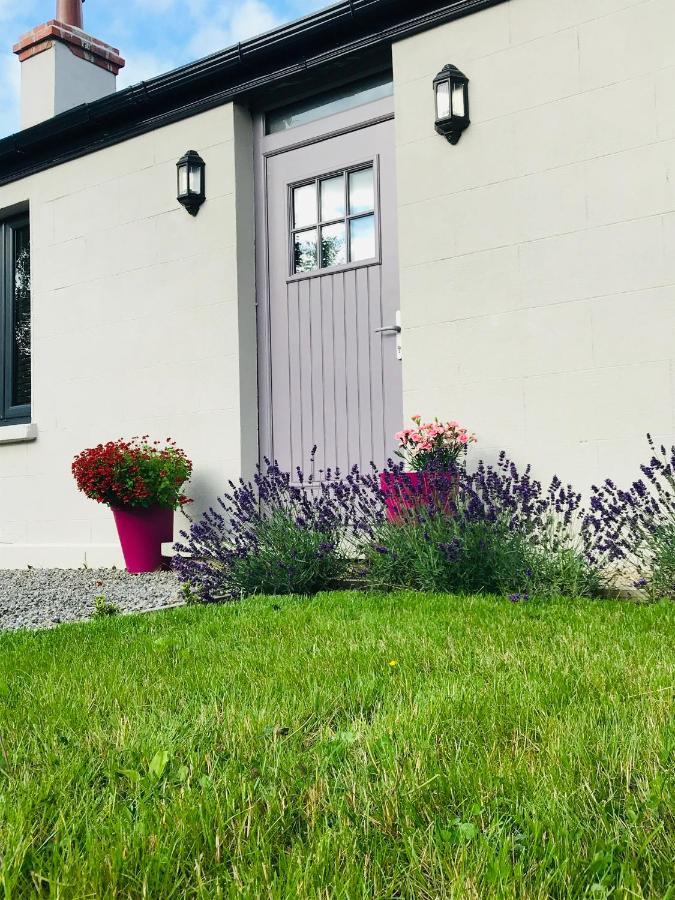Lavender Cottage - 2 Bedroom Home Newbridge  Εξωτερικό φωτογραφία